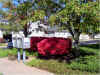 DSC00389.JPG (185836 bytes)