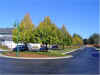 DSC00411.JPG (100815 bytes)